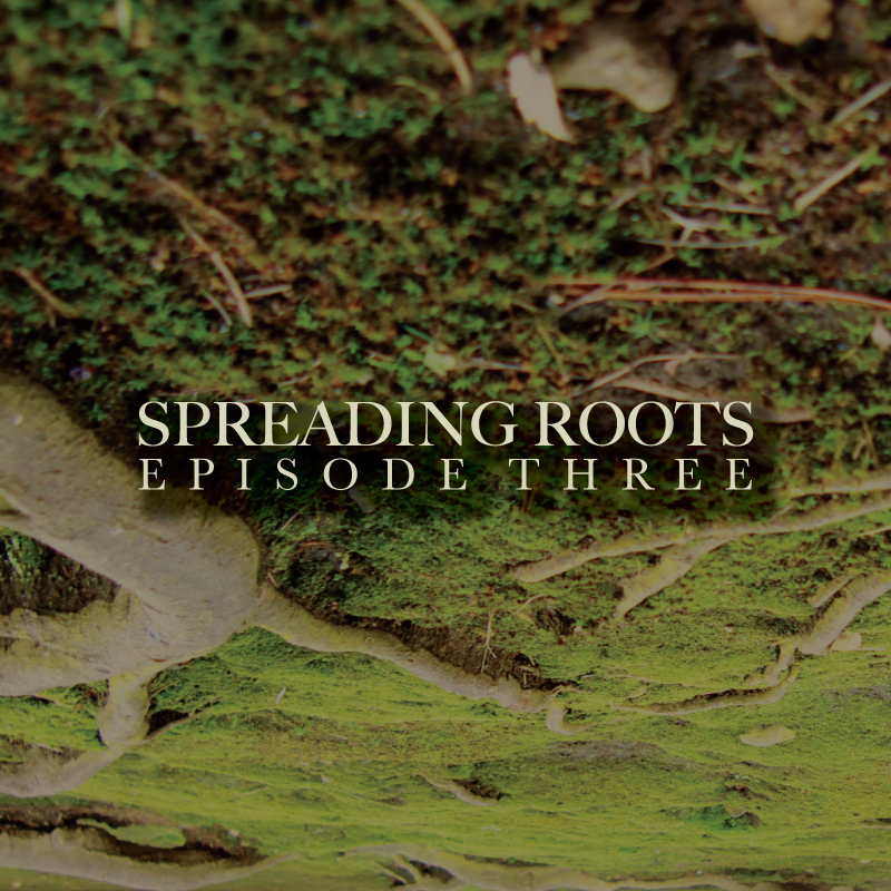 SPREADING_ROOTS_3_COVER