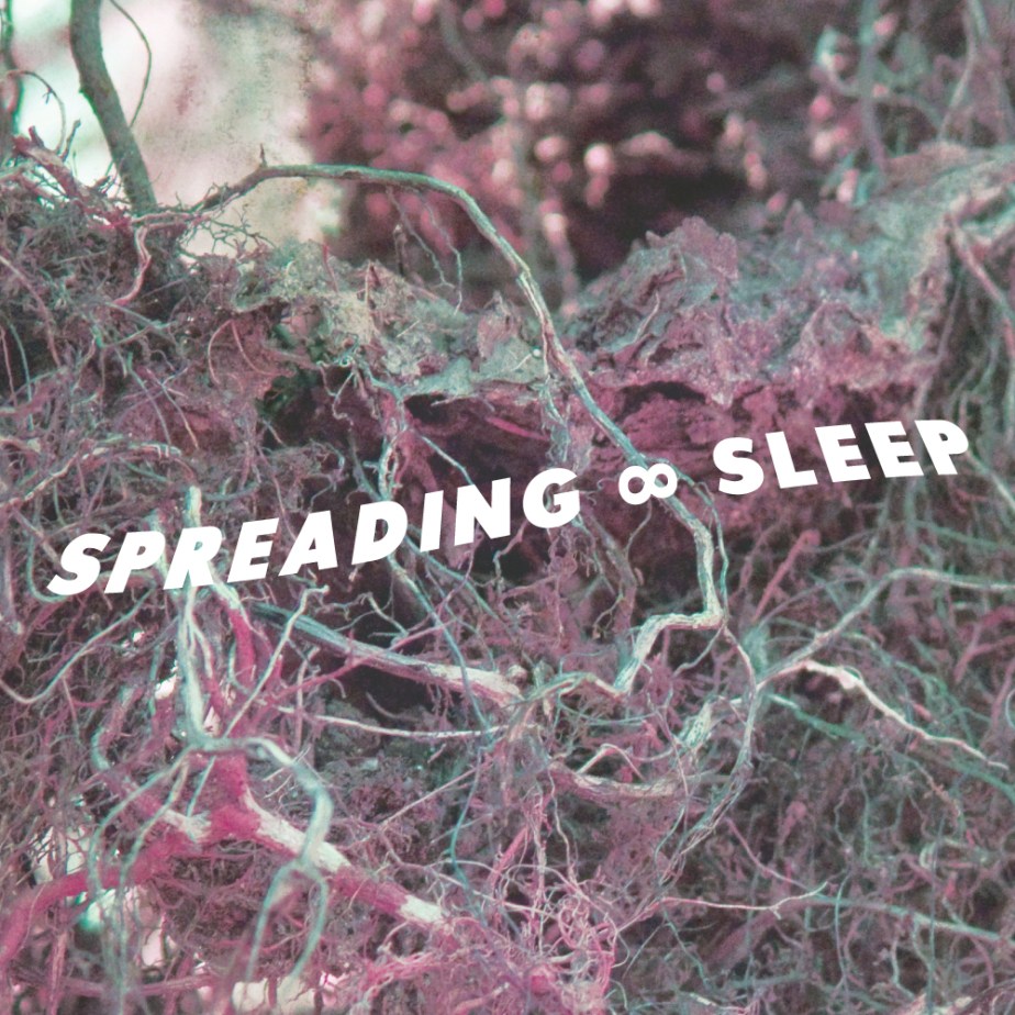 SPREADING_SLEEP_ART