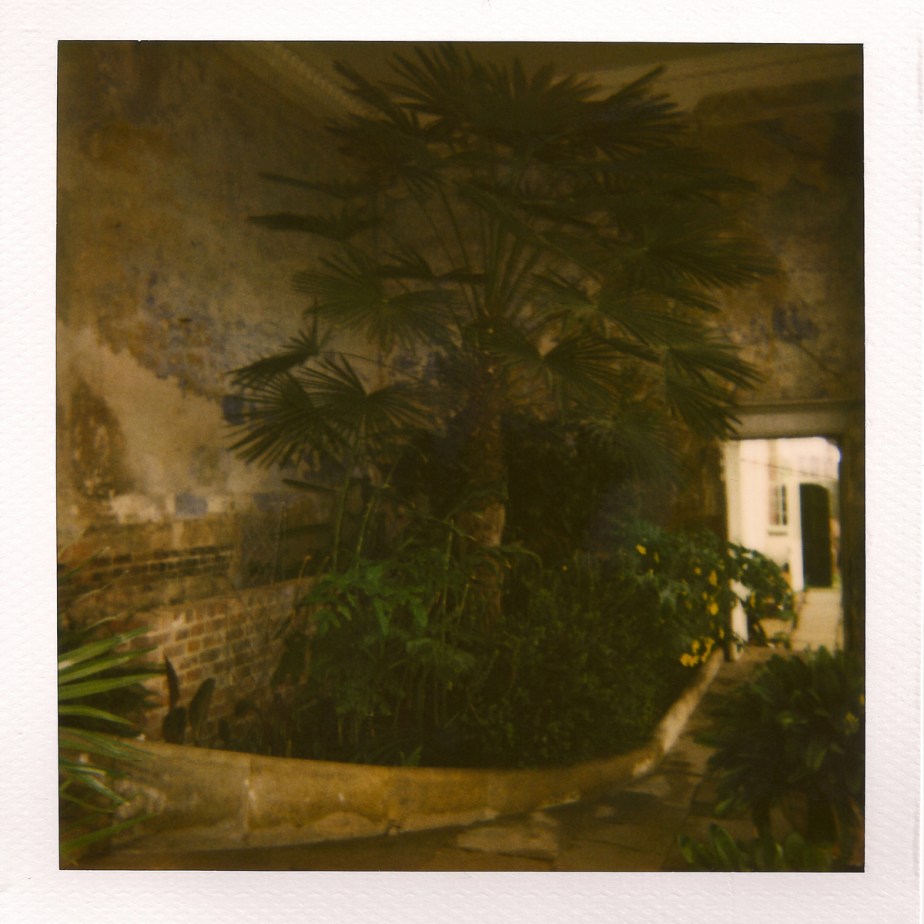 London 220109, by Gareth&nbsp;Hardwick