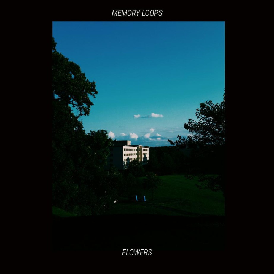 MEMORY LOOPS, by&nbsp;FLOWERS