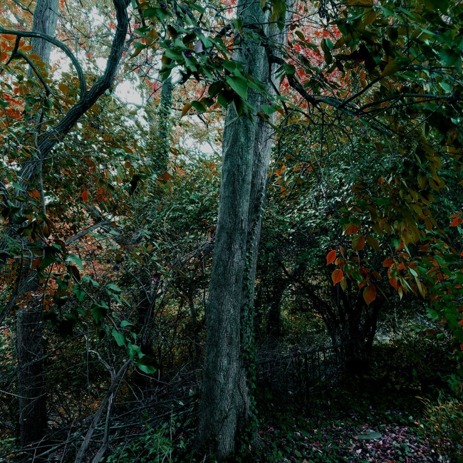 Springthaw I & II, by Coppice&nbsp;Halifax