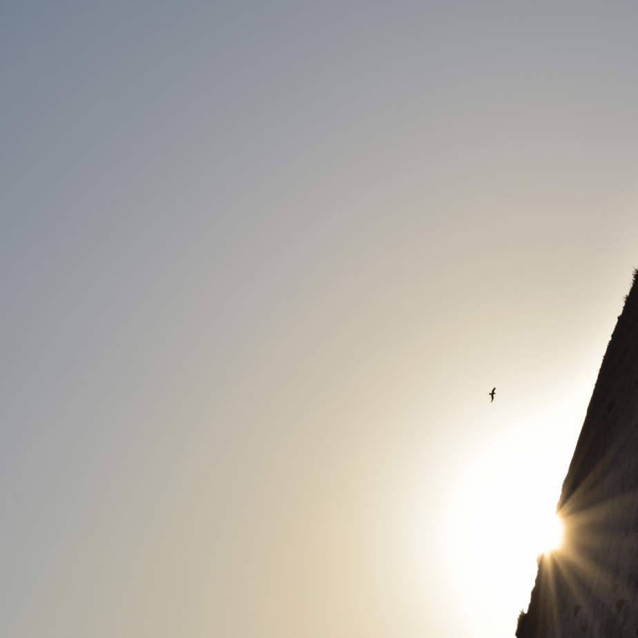 james-murray-no-ordinary-home-1048x1048