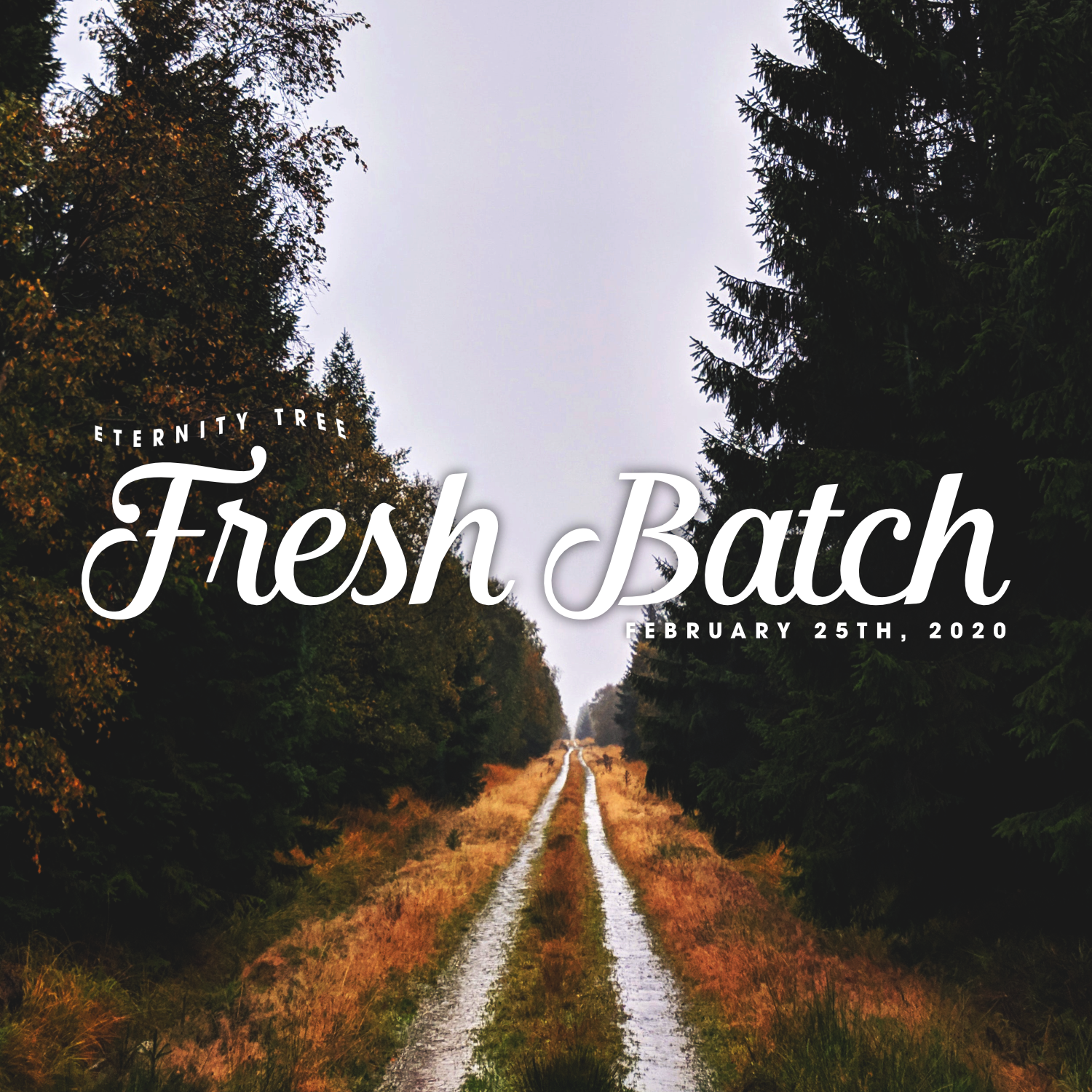 ET_FreshBatch_Feb25_2020