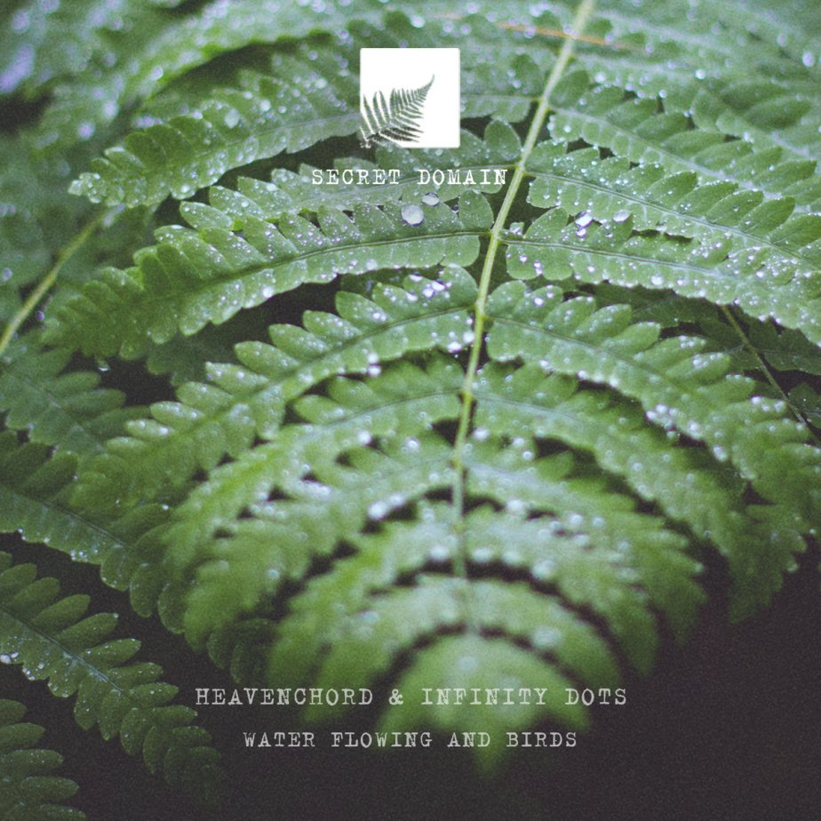 Water Flowing and Birds, by Heavenchord & Infinity&nbsp;Dots