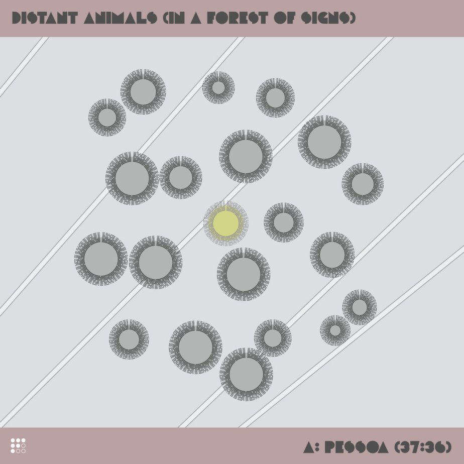 Pessoa, by Distant&nbsp;Animals