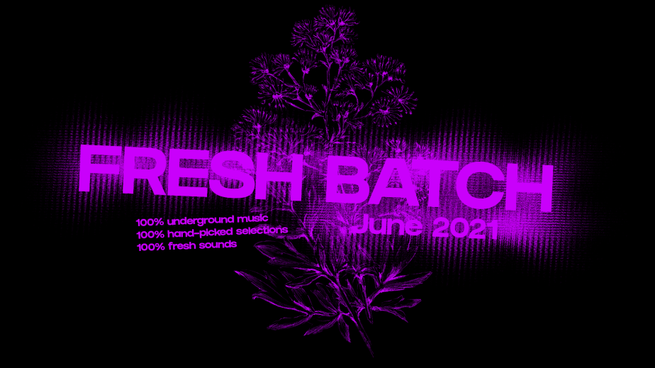 Fresh Batch – June&nbsp;2021