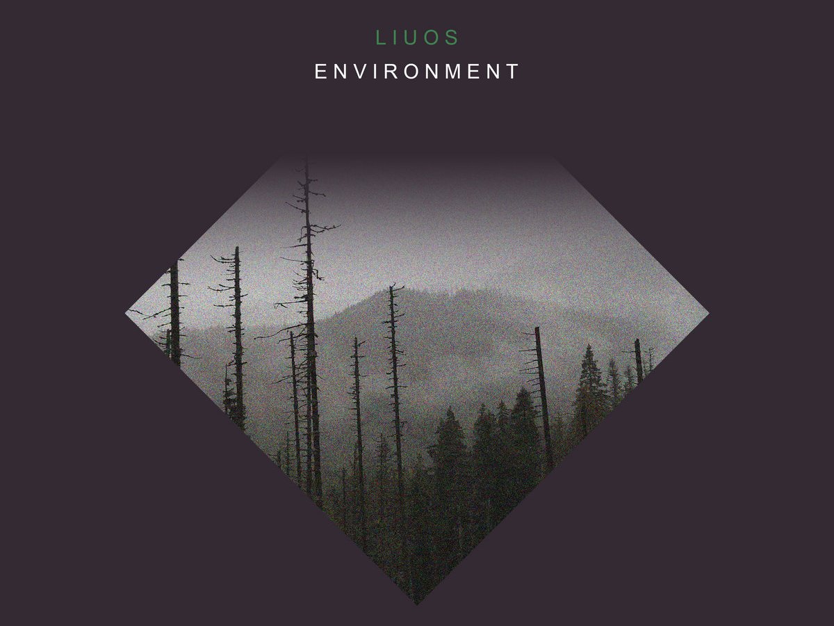 Environment, by Liuos