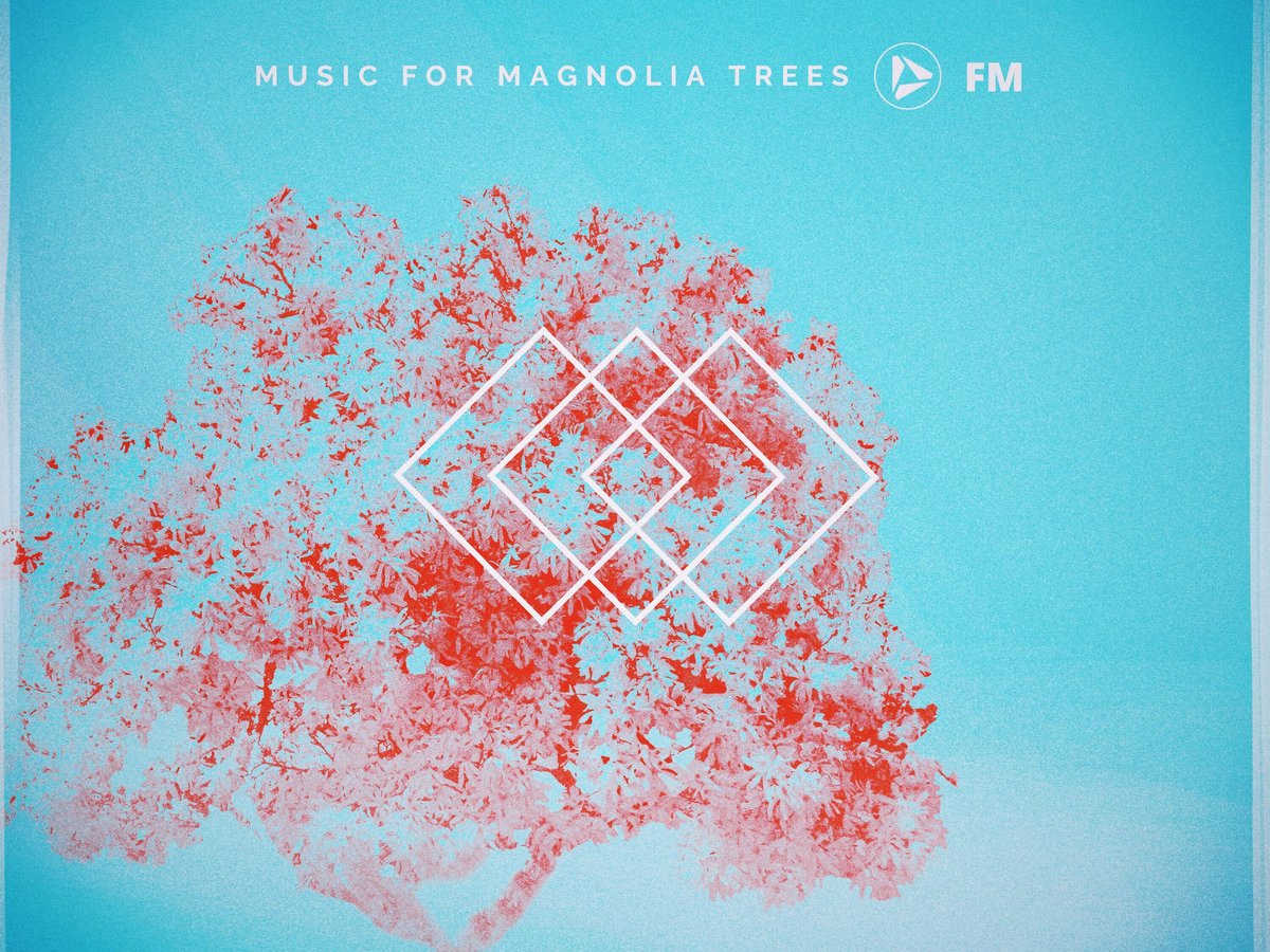 Music for Magnolia Trees, by Various&nbsp;Artists